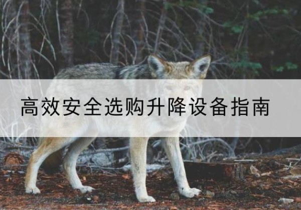 迁西升降货梯厂家推荐-*安全选购升降设备指南
