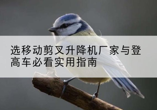 迁西电动升降机厂家-选移动剪叉升降机厂家与登高车必看实用指南