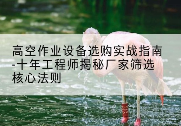 迁西剪叉式升降机厂家-高空作业设备选购实战指南-十年工程师揭秘厂家筛选核心法则